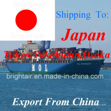 Logistik Seefracht Spediteur Von China nach Tokio, Nagoya, Osaka, Yokohama